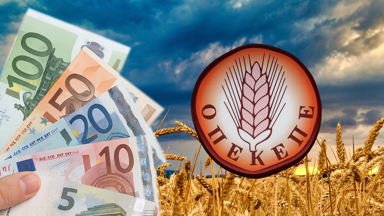 Επιχείρηση Δ.Α.Ο.Ε. στην Κρήτη: Εξάρθρωση κυκλώματος παράνομων επιδοτήσεων ΟΠΕΚΕΠΕ - 14 προσαγωγές