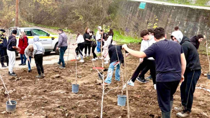 Μαθητές και εκπαιδευτικοί ενώνουν δυνάμεις για τη δημιουργία οπωρώνα στη Σταυρούπολη Ξάνθης